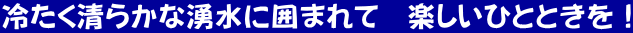 冷たく清らかな湧水に囲まれて 楽しいひとときを!