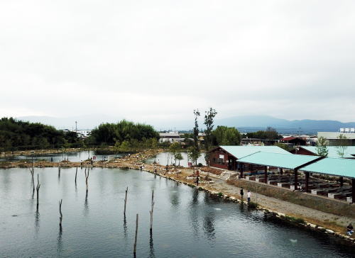 3池で15000uの大規模ポンド