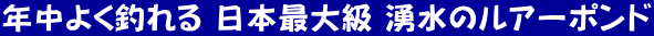 N悭ނ {ő勉 ÑA[|h
