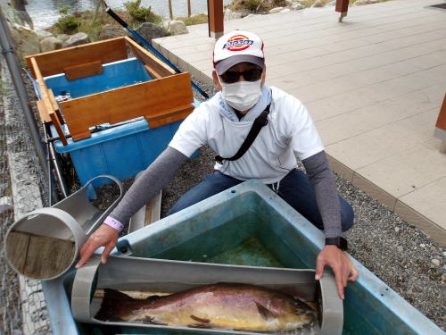 管理釣り場　フィッシングパーク高島の泉　歴代大物写真